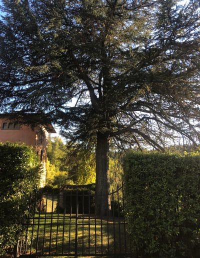 Pieve Romanica di San Giusto in Salcio - Villa di Sotto