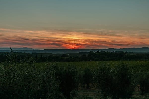 Restaurant Enoteca - Villa di Sotto