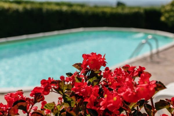 Außen-Panorama-Pools - Villa di Sotto