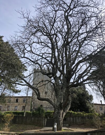 Castellina in Chianti - Villa di Sotto