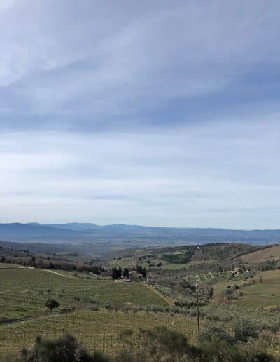 Castellina in Chianti - Villa di Sotto