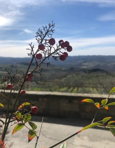 Panzano in Chianti - Villa di Sotto