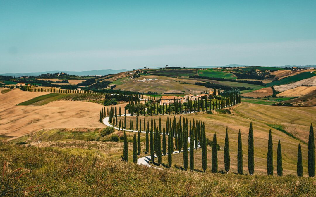 Crete senesi and Montalcino